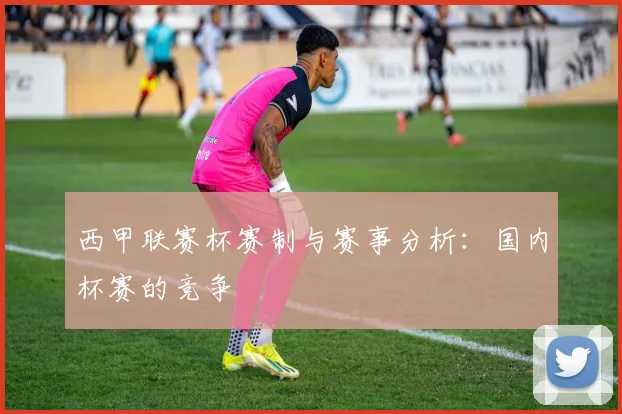 西甲联赛杯赛制与赛事分析：国内杯赛的竞争