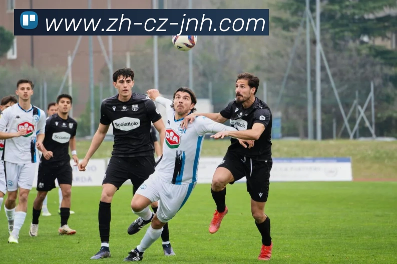 金年会体育品牌故事