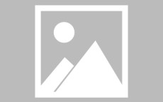 金年会-英超球员办理劳工证的流程及政策解析