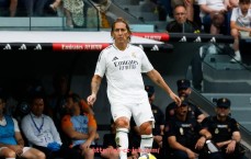 金年会-世俱杯专题网页内容结构优化建议及用户行为反馈数据